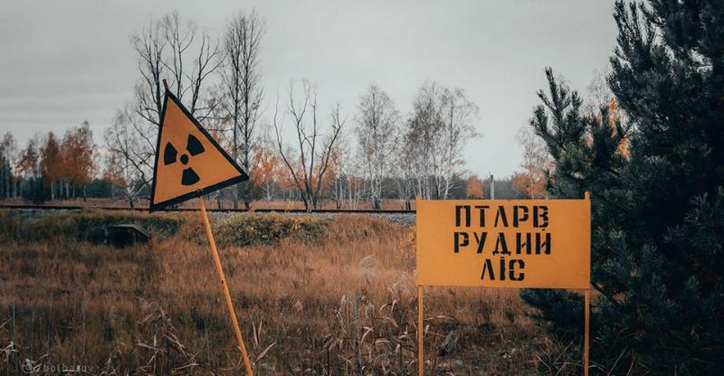 Американські біологи дослідили черв'яків з Чорнобиля і встановили, що на їхні ДНК радіація не вплинула