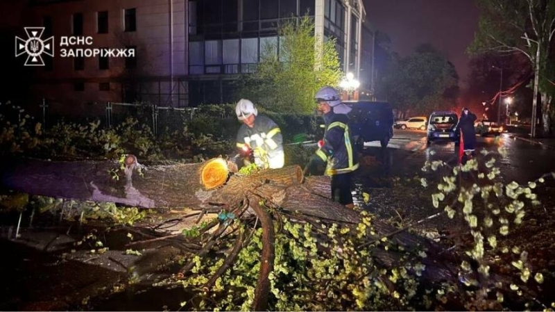 Дерево впало на будинок, перекрито рух транспорту: наслідки негоди в Запоріжжі