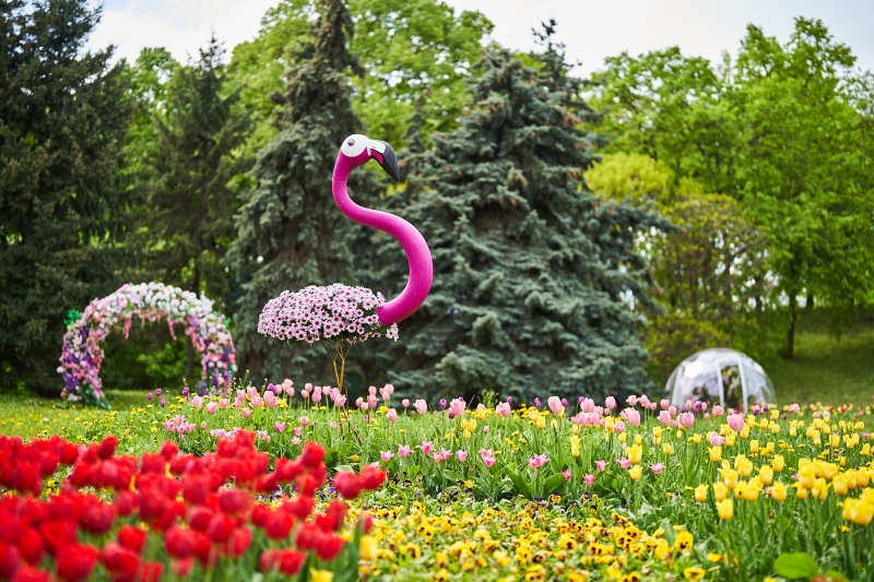 У Києві відкрилась виставка квітів (фото)