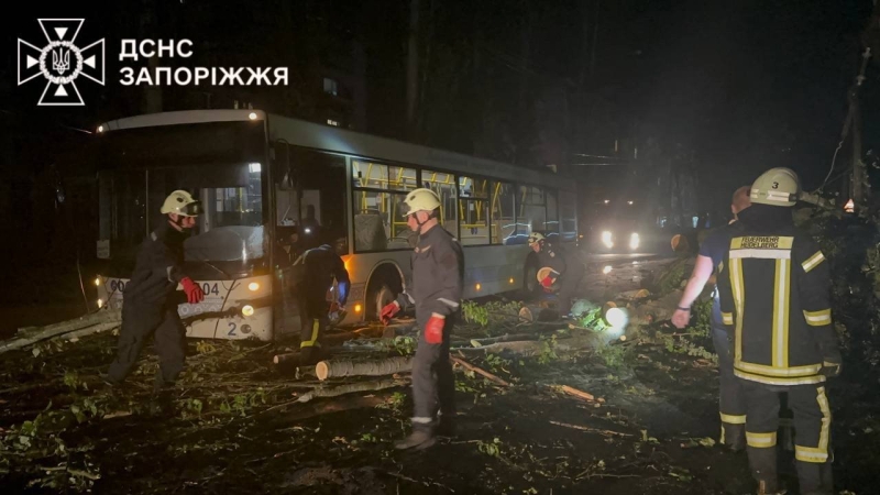 Негода повалила у Запоріжжі близько 60 дерев, - Фото