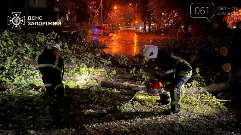 Дерево впало на будинок, перекрито рух транспорту: наслідки негоди в Запоріжжі