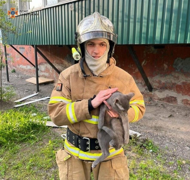 У Запоріжжі співробітники ДСНС врятували кота, який випав з багатоповерхівки
