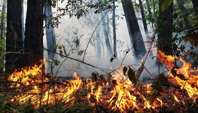На завтра по Миколаївщині оголошено пожежну небезпеку, - ФОТО 