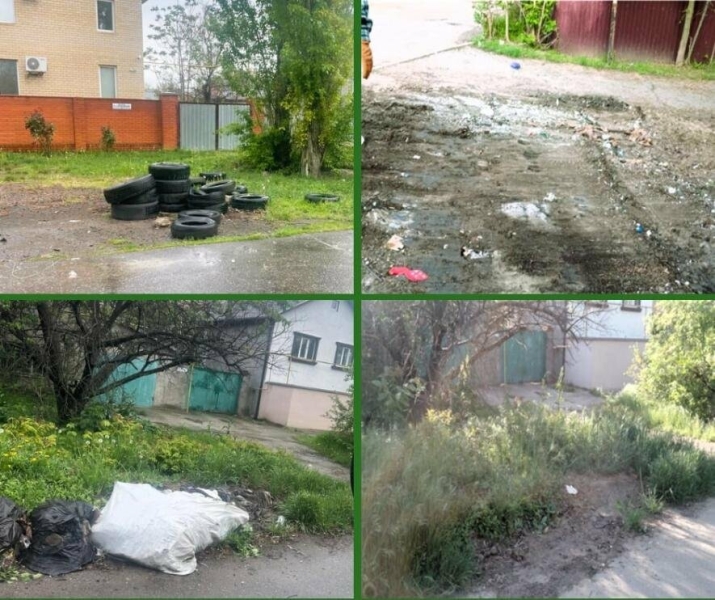 В одному з районів Миколаєва екоінспектори виявили декілька сміттєзвалищ,- ФОТО