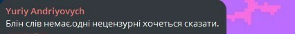 &laquo;Підемо вчитися подавати подачі&raquo;. Реакція фанів на матч Україна &ndash; Іран