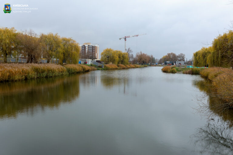 Каскад озер у Бородянці зариблено коропами та білими амурами (фото)