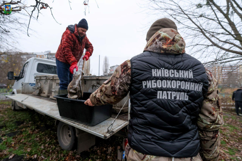 Каскад озер у Бородянці зариблено коропами та білими амурами (фото)