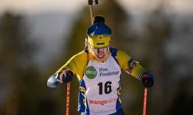 ВІДЕО. З плакатом у руках. Як Дмитренко підтримувала українців на КС