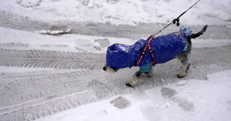Аномальний холод повернеться до України: синоптик сказав, коли це станеться