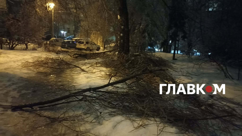 Київ та область накрив рідкісний крижаний дощ: неймовірні фото небезпечної стихії