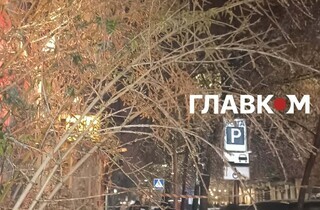 Київ та область накрив рідкісний крижаний дощ: неймовірні фото небезпечної стихії