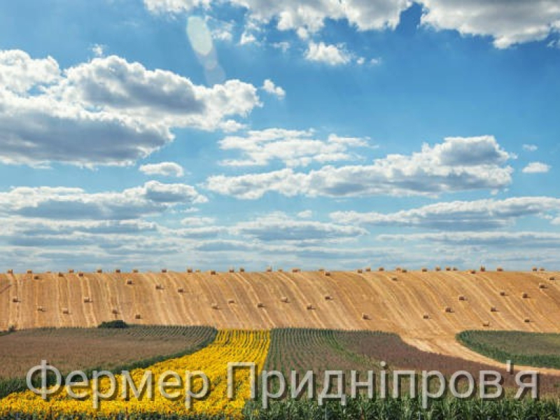 Сертифікат на земельну частку та витяг з Державного реєстру речових прав: у чому різниця?