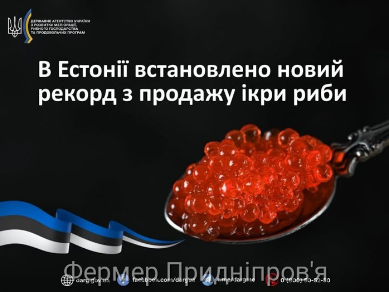 В Естонії - рекорд з продажу ікри риби