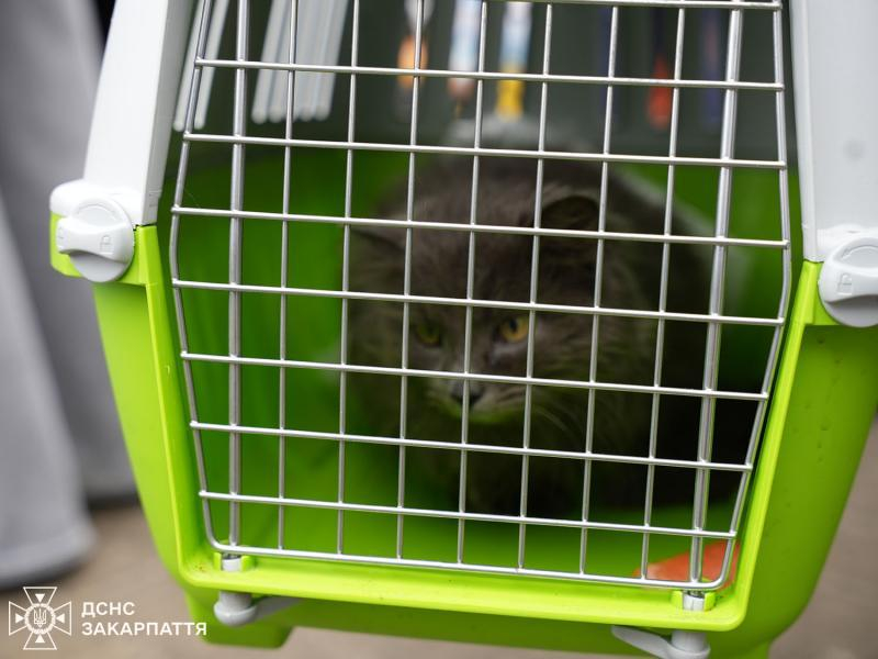 Закарпатські рятувальники зустріли евакуаційний потяг із Дніпропетровщини