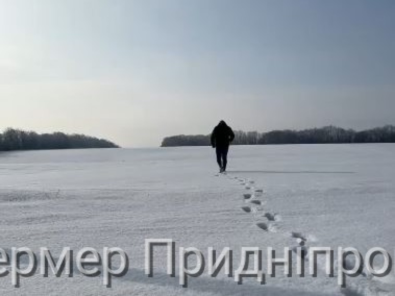 Цитата дня