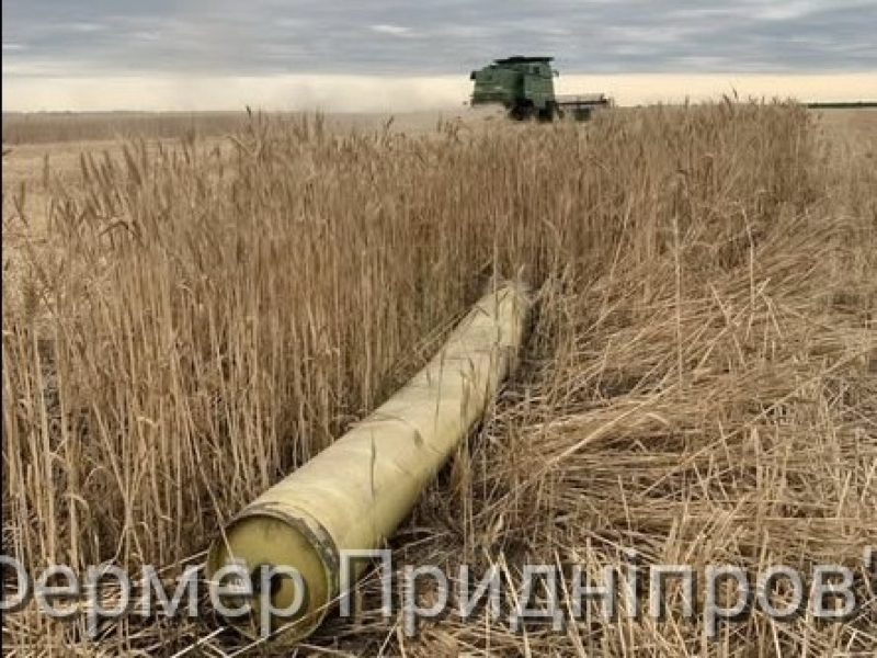 Цитата дня