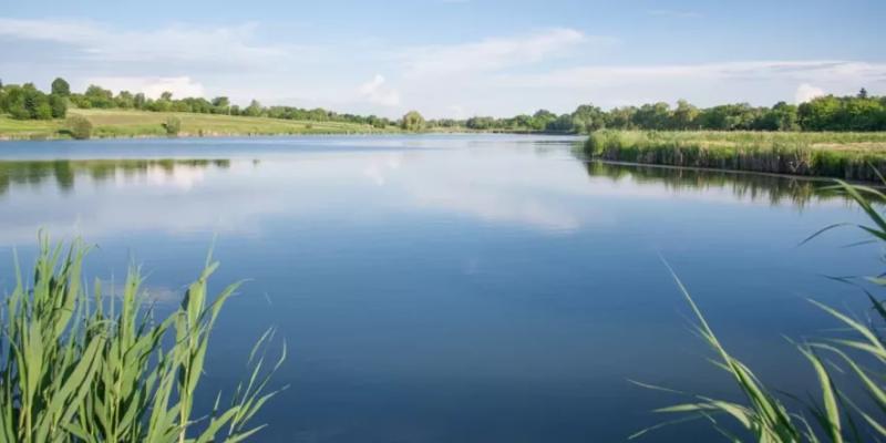 Понад 10 гектарів водойми та екологічні збитки: завершено розслідування на Миколаївщині