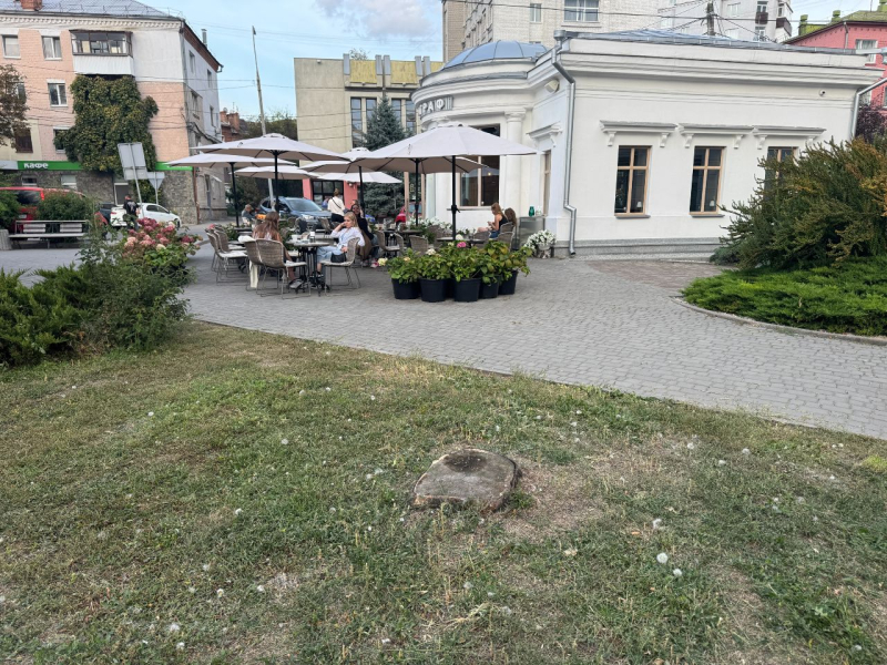 Справу про падіння дерева на жінку біля кафе &laquo;Фотограф&raquo; через два роки передали новій слідчій