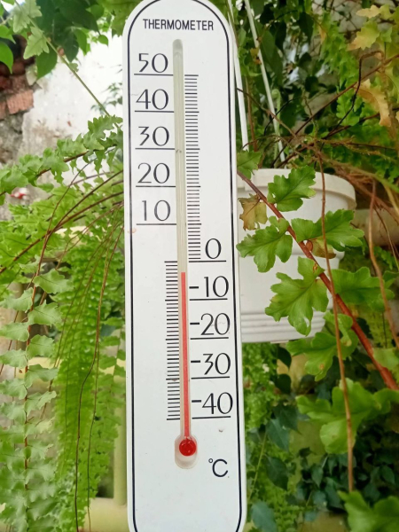 У ботсаду ДНУ скасували усі заходи для відвідувачів: причина